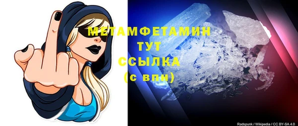 PSILOCYBIN Вяземский