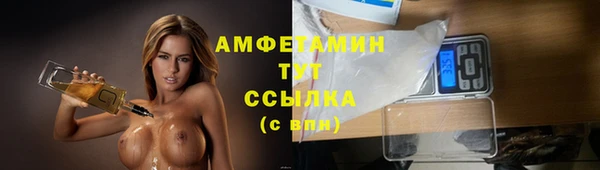 PSILOCYBIN Вяземский
