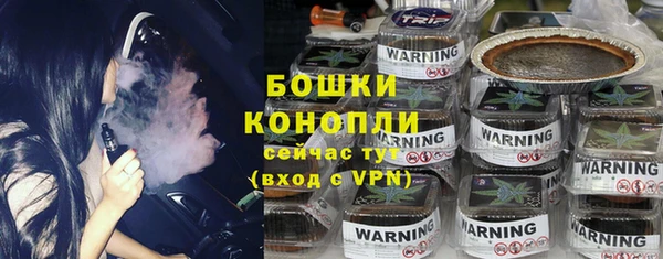 PSILOCYBIN Вяземский
