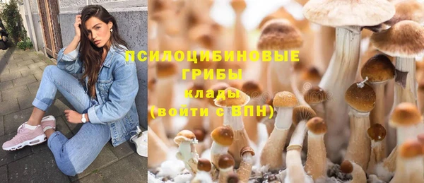 PSILOCYBIN Вяземский