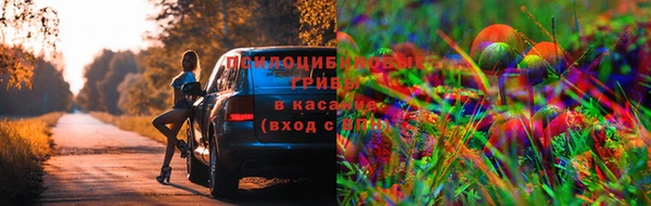 бошки Вязники
