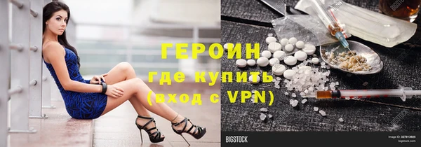 PSILOCYBIN Вяземский